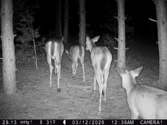 Colfax Land Real Estate