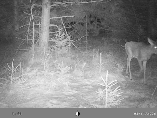 Colfax Land Real Estate