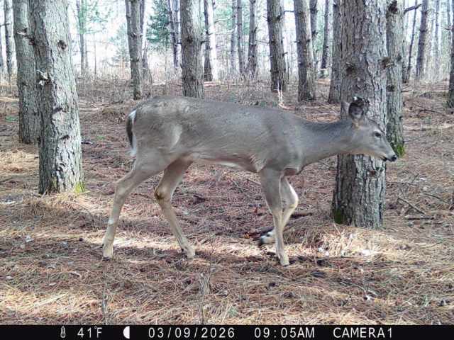 Colfax Land Real Estate