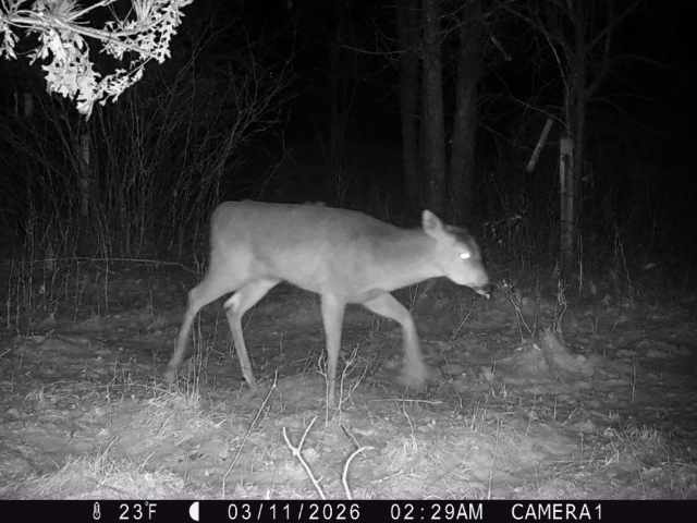 Colfax Land Real Estate