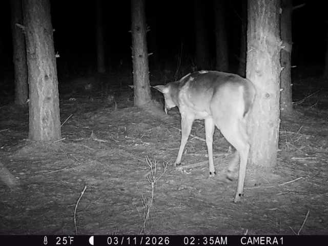 Colfax Land Real Estate