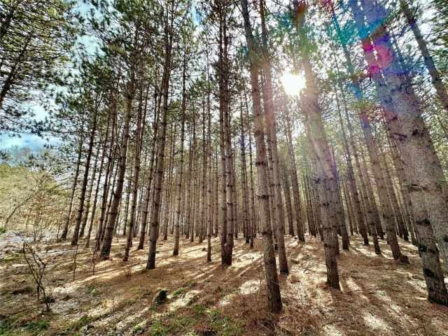 Colfax Land Real Estate