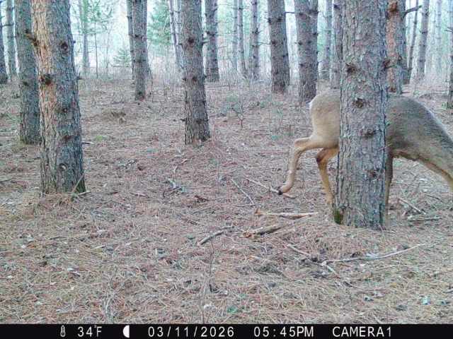 Colfax Land Real Estate