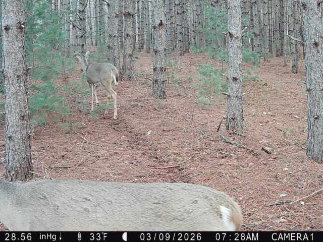 Colfax Land Real Estate