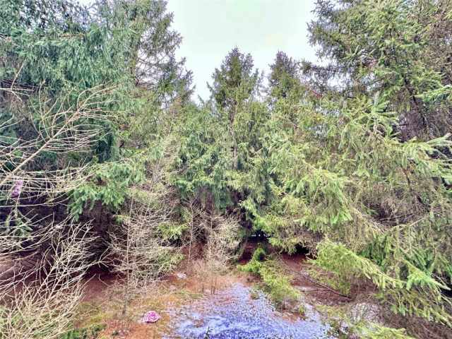 Colfax Land Real Estate