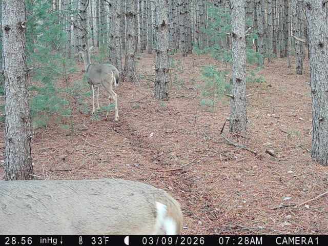 Colfax Land Real Estate