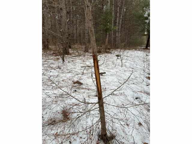 Colfax Land Real Estate