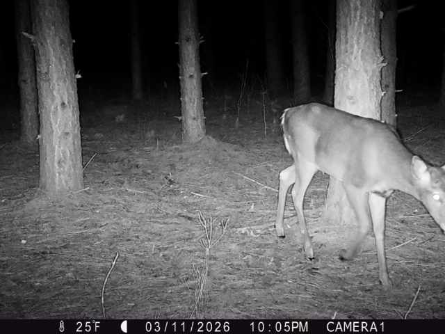 Colfax Land Real Estate