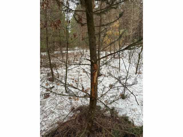 Colfax Land Real Estate