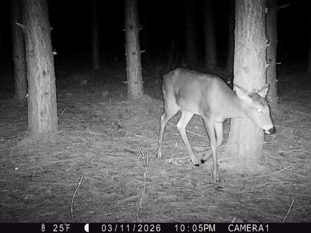 Colfax Land Real Estate