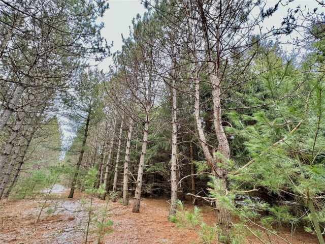 Colfax Land Real Estate