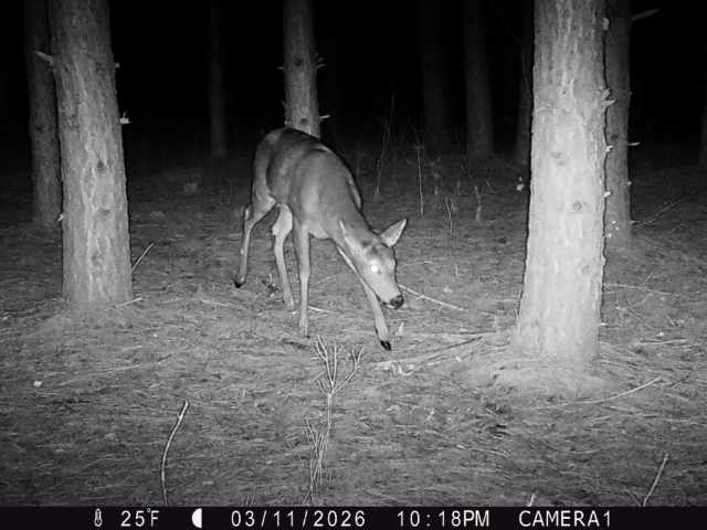 Colfax Land Real Estate