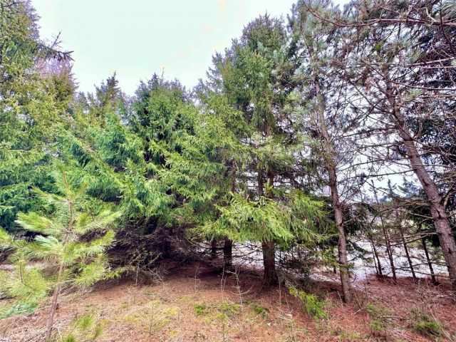 Colfax Land Real Estate