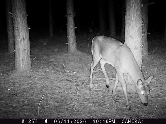 Colfax Land Real Estate