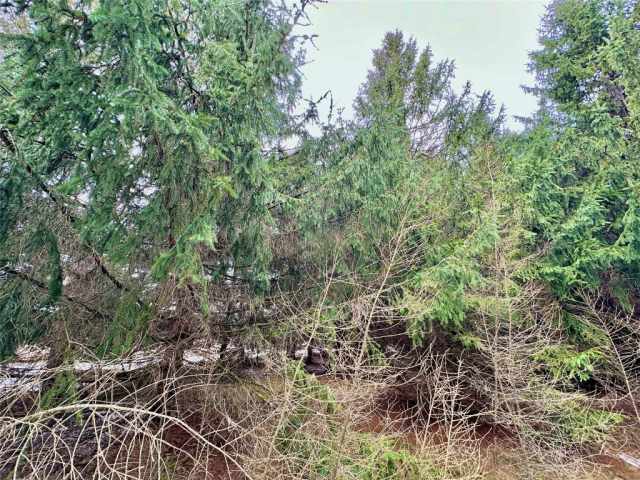 Colfax Land Real Estate