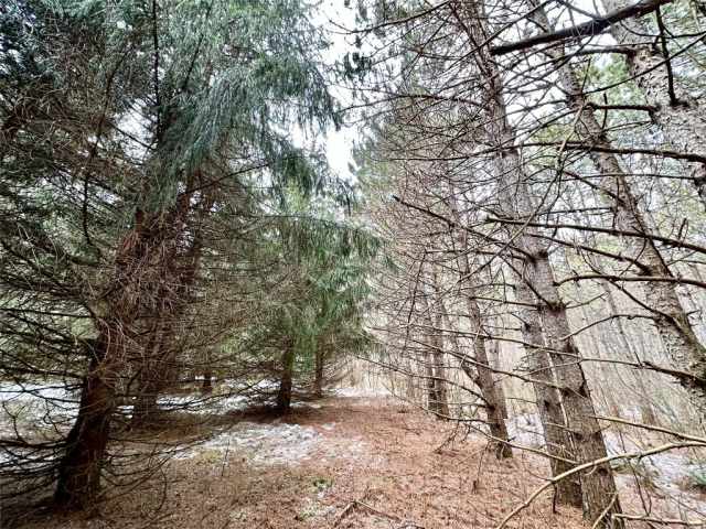 Colfax Land Real Estate