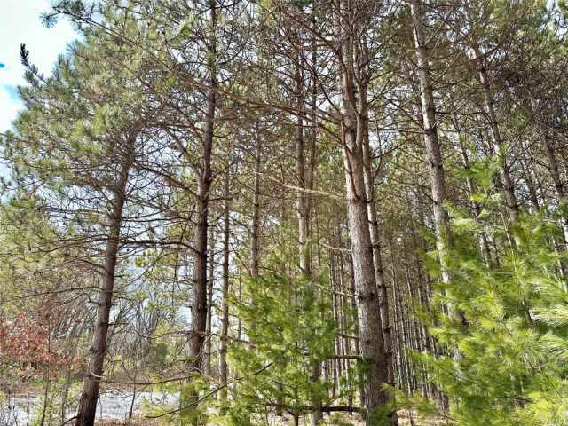 Colfax Land Real Estate