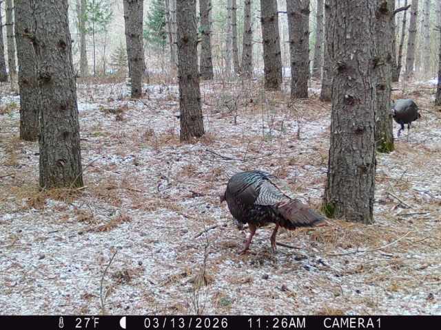 Colfax Land Real Estate