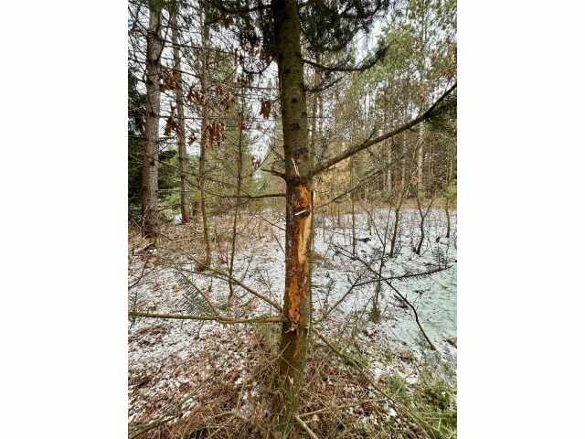 Colfax Land Real Estate