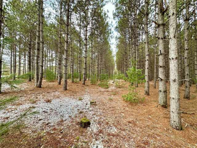 Colfax Land Real Estate