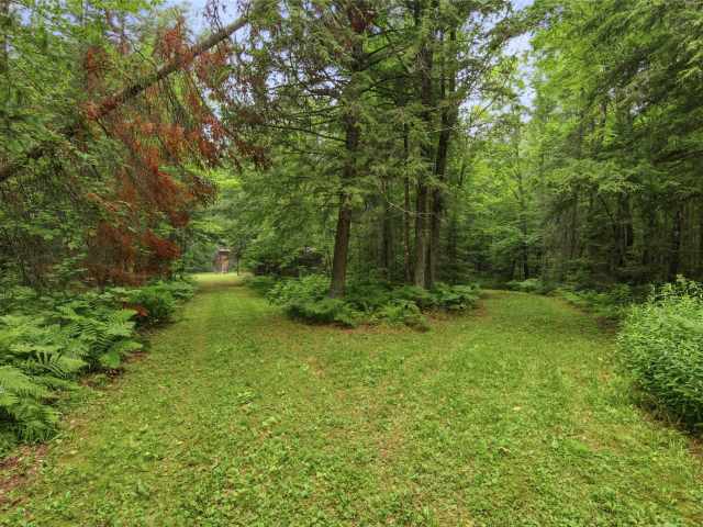 grand view Residential Real Estate