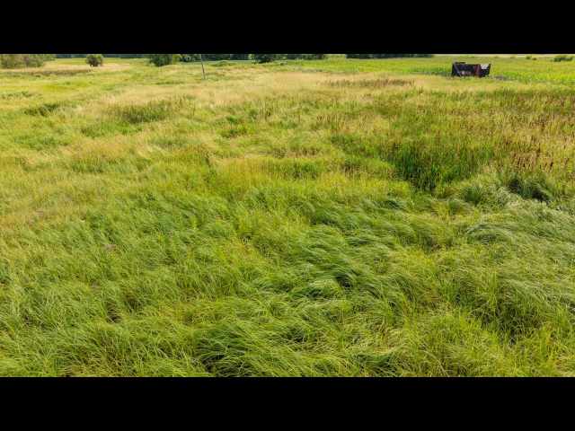 Boyceville Land Real Estate