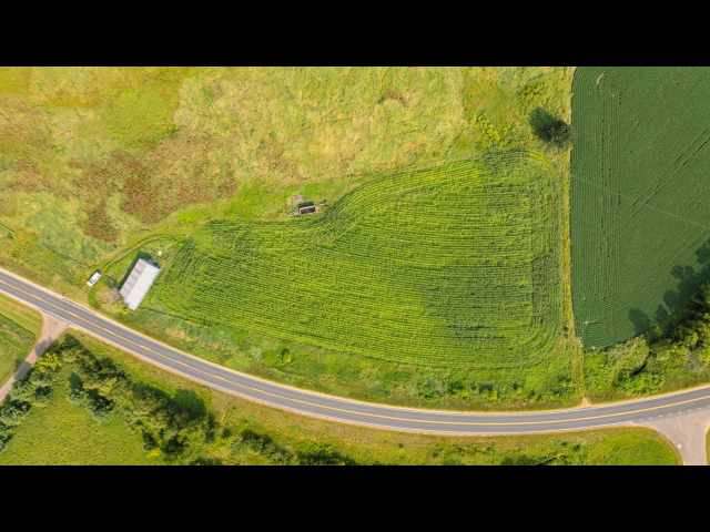 Boyceville Land Real Estate