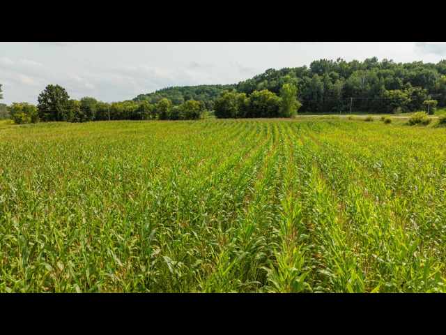 Boyceville Land Real Estate