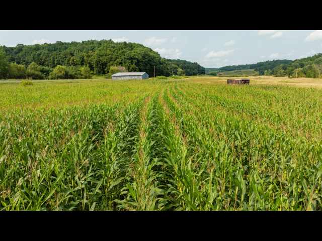 Boyceville Land Real Estate