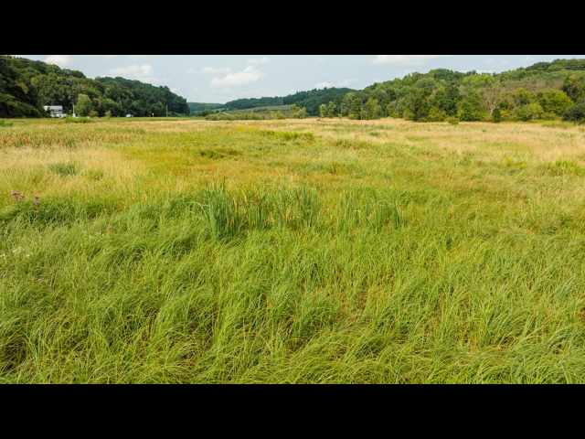 Boyceville Land Real Estate