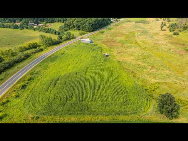 Boyceville Land Real Estate