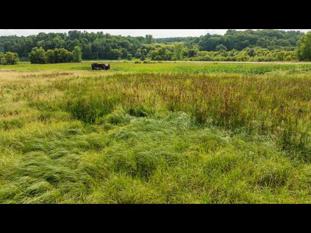 Boyceville Land Real Estate