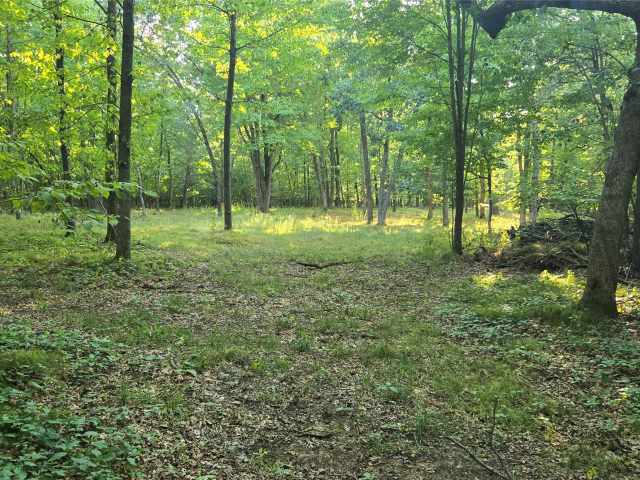 Colfax Land Real Estate