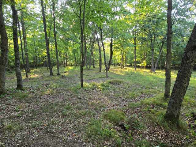 Colfax Land Real Estate