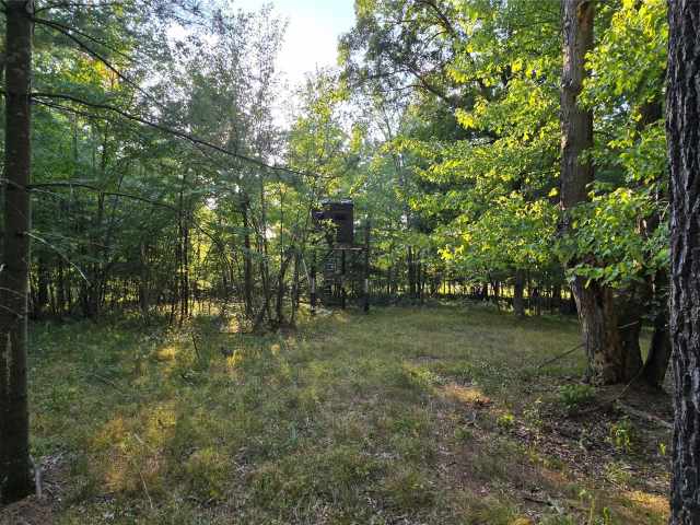 Colfax Land Real Estate