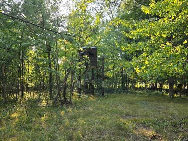 Colfax Land Real Estate