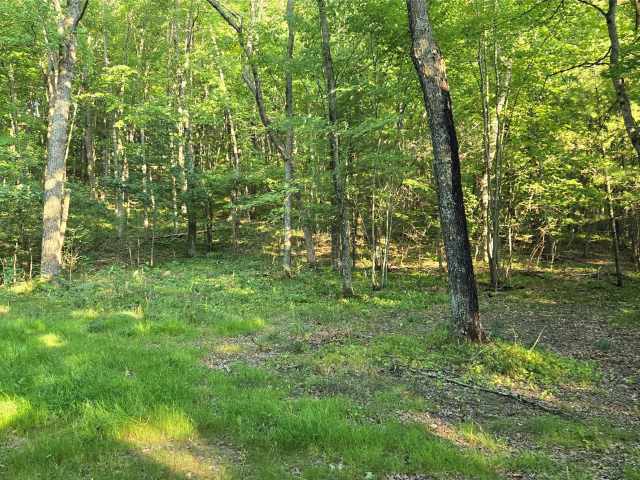 Colfax Land Real Estate