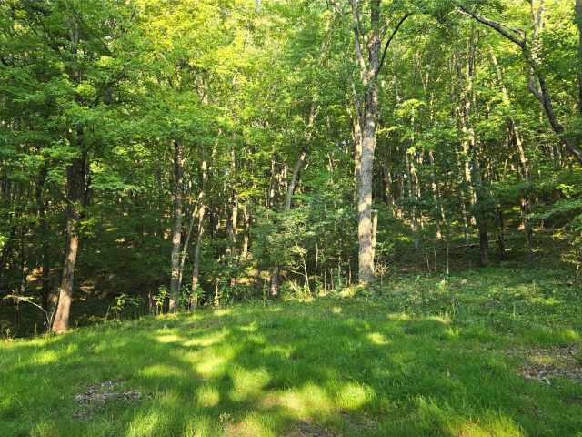 Colfax Land Real Estate
