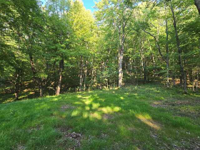 Colfax Land Real Estate