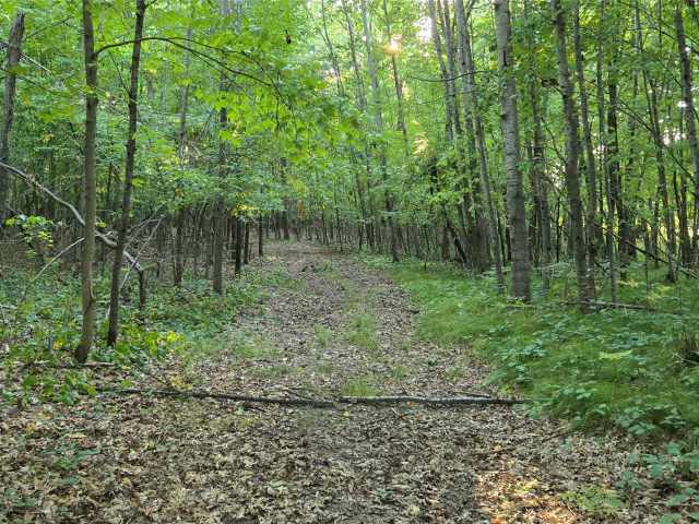 Colfax Land Real Estate