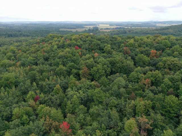 Colfax Land Real Estate