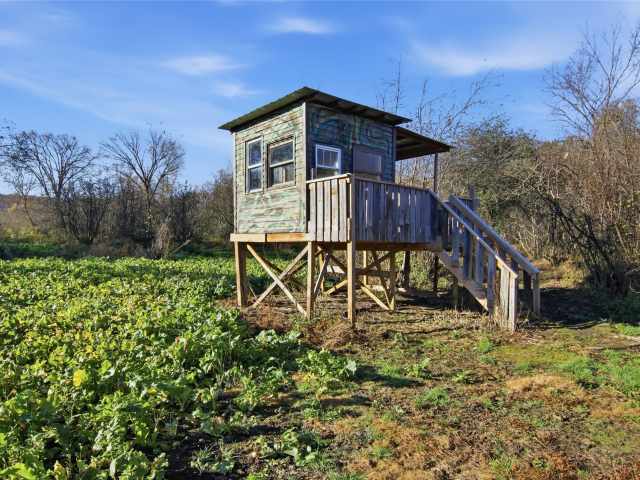 Boyceville Property for Sale