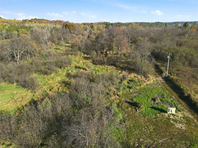 Boyceville Land Real Estate