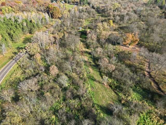 Boyceville Land Real Estate