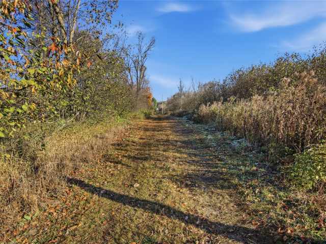 Boyceville Land Real Estate