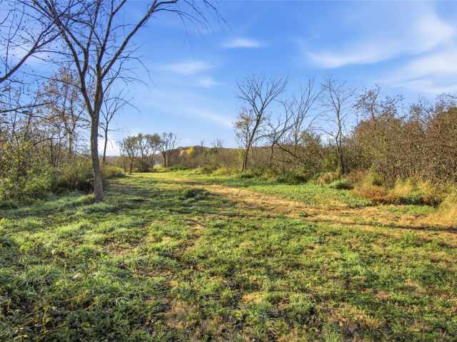 Boyceville Land Real Estate