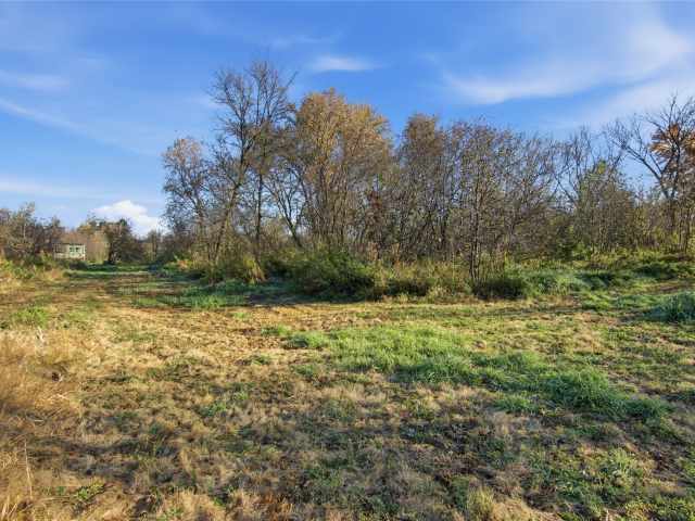 Boyceville Land Real Estate