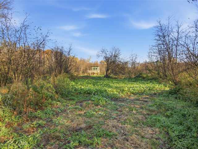 Boyceville Land Real Estate