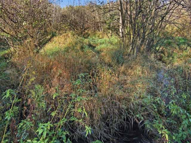 Boyceville Land Real Estate