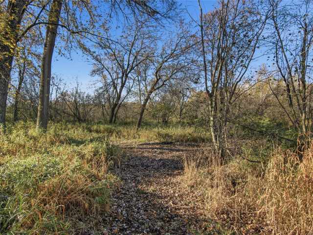 Boyceville Land Real Estate